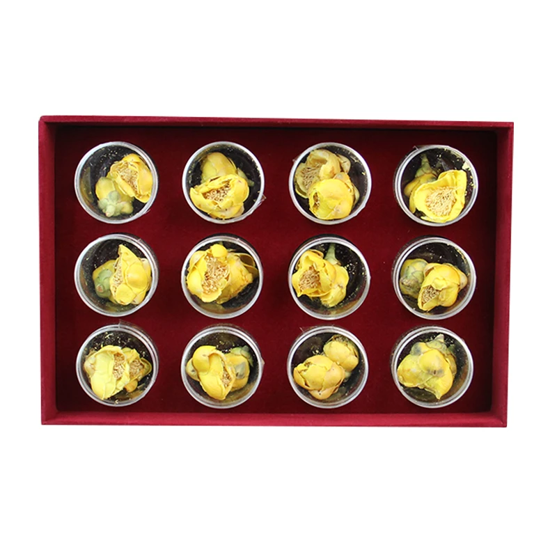 Widely selling superior quality golden camellia flower tea (19.2g)  china