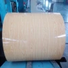 Wooden Ppgi Color Steel Plate for Construction Material