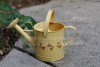 Zinc galvanized metal watering can with rose flower pattern for gardening 2.8L