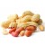 Import Earth nut Peanuts Groundnut Suppliers, New Delhi from India