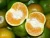 Import Orange Fruit from Indonesia