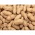 Import Earth nut Peanuts Groundnut Suppliers, New Delhi from India