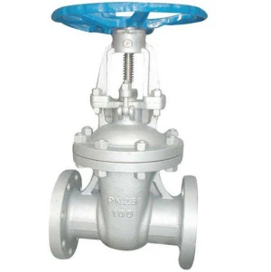 Russia standard flanged rising GOST gate valve PN16~40 30s41nzh