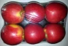 Wide Variety of Fresh Apples, Gala Must, Idared, Jonagold, Ligol