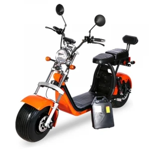 18 inch fat tire citycoco electric scooter two battery pack turn signal