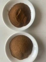 Spray dried instant coffee powder