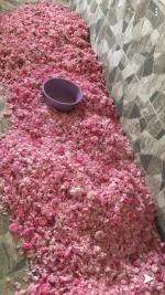 Rose oil, lavender oil