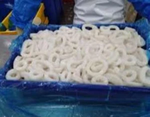 Premium Peruvian Giant Squid Calamari Rings