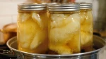 Canned Baby Pears in Light Syrup – Premium Quality Export