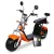 Import 18 inch fat tire citycoco electric scooter two battery pack turn signal from China