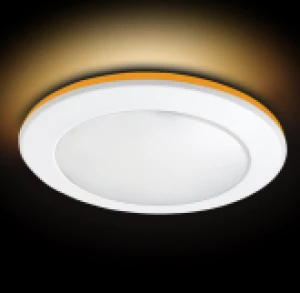 "American LED 4/6 inch disk butterfly light series for home decor"