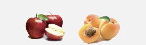 High Quality Fresh Fruits