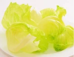 Fresh Lettuce