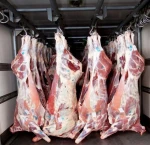 Fresh frozen Quality Red Beef Cow Meat/Sheep Meat
