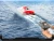 Import V003 2.4GHZ RC Electric High Speed Boat from China