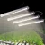 Import T8 led grow light tubes from China