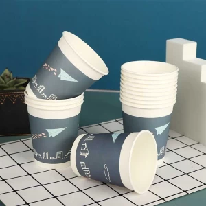 disposable double wallls cup