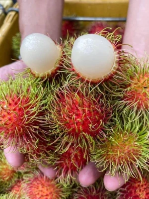 FRESH RAMBUTAN FROM THAILAND