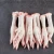 Import Frozen Chicken Feet (Grade A) from Tanzania