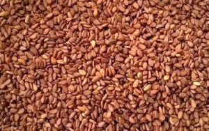 Sesame Seeds