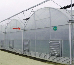 steel structure factory price greenhouse