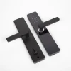 Apartment fingerprint password lock homestay rental house smart anti-theft door app bluetooth wifi remote graffiti all