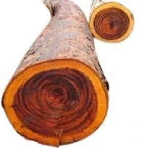 Rose Wood Log/Rosewood Timber Logs
