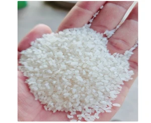 100% Broken Rice Top Export Quality / Broken White Rice