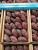 Import Fresh & premium Medjool dates in different sizes from small to super jumbo from Jordan