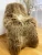 Import LONG HAIRED DUTCH SHEEPSKINS XXL! from Poland