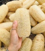 Natural Loofah Sponge/ Vietnamese Dried Loofah