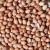 Import Java Peanuts from India