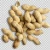 Import Unshelled Peanuts from South Africa