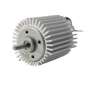 T300 B4260M Brushless DC Motor Pure Copper Mute
