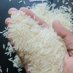 Premium Quality Long Grain Basmati Rice Organic & GMO Fresh Style Top Grade Biryani Rice