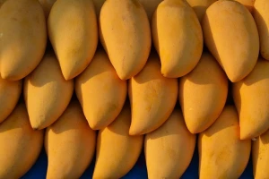 High Quality Mangoes