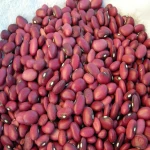 Light Speckled Red Kidney Beans (Pinto/Sugar Beans)-Bulk Pack Freeze-Dried