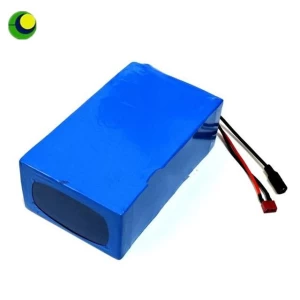 High Power 1800W 60V 16S Lithium Electric Bike Battery pack with PVC Case 30A BMS and 67.2V 2A Charger