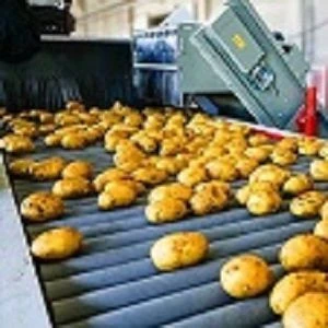 High-quality potatoes from China