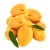Import High Quality Mangoes from United Kingdom