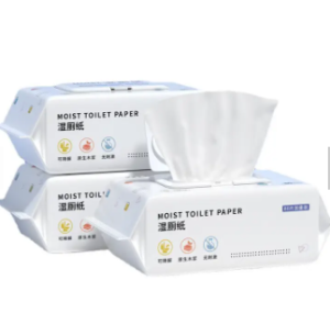 Biodegradable Flushable Toilet Wipes Fresh Fell Wipes Private Label OEM Flushable Wet Wipes