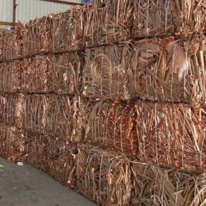 Copper Cathodes, Copper Rod, Copper Wire, Copper Coils, Copper Scraps, Copper Ingots.