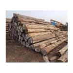Sapele wood logs available in volume for cabinetry and paneling