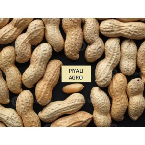 Earth nut Peanuts Groundnut Suppliers, New Delhi