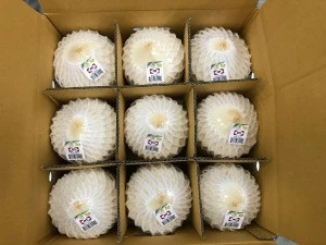 100% Natural Premium Quality Thai Young Coconuts Exporter