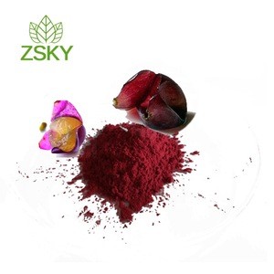 100 Natural Water Soluble Red Grape Skin Extract/Resveratrol 5% 30% Polyphenols Powder Supplier