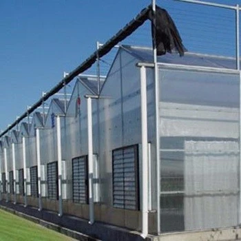 10mm single-span aluminium structure frame PC polycarbonate sheet agriculture greenhouse