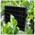 Import 128 cell plant nursery plastic pvc greenhouse seedling tray from China