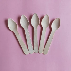 170 mm mini 2021 Factory price wholesale degradable natural disposable bamboo spoon for ice cream