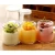 Import 200ml Yogurt Jam Glass Jar with Silicone Lid for Drinks, Desserts Yogurt Maker from China